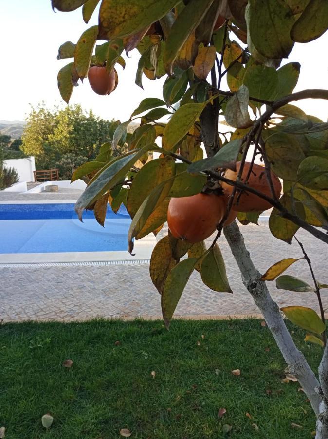Monte Papa Figos Villa Malhao  Екстериор снимка